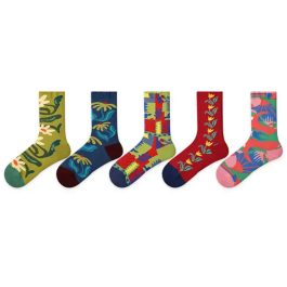 5 PCS Cool Girl Mid-tube Socks